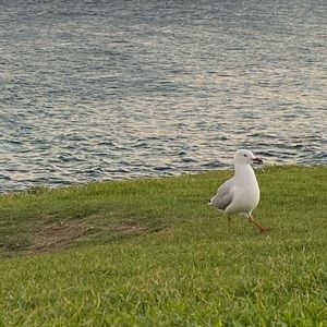 Meet your Posher, Gaganpreet